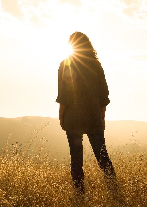 Silhouette of person in golden sunset field.